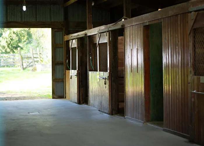 Wildwood Farm Bed & Breakfast